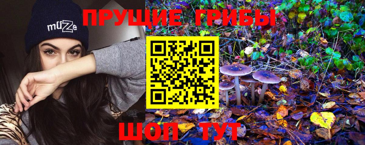 Галлюциногенные грибы MAGIC MUSHROOMS  Вход с VPN  Приморско-Ахтарск 